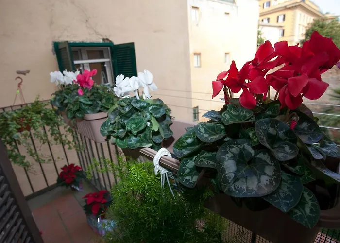 Apartamento Magenta Luxury Purificazione Roma